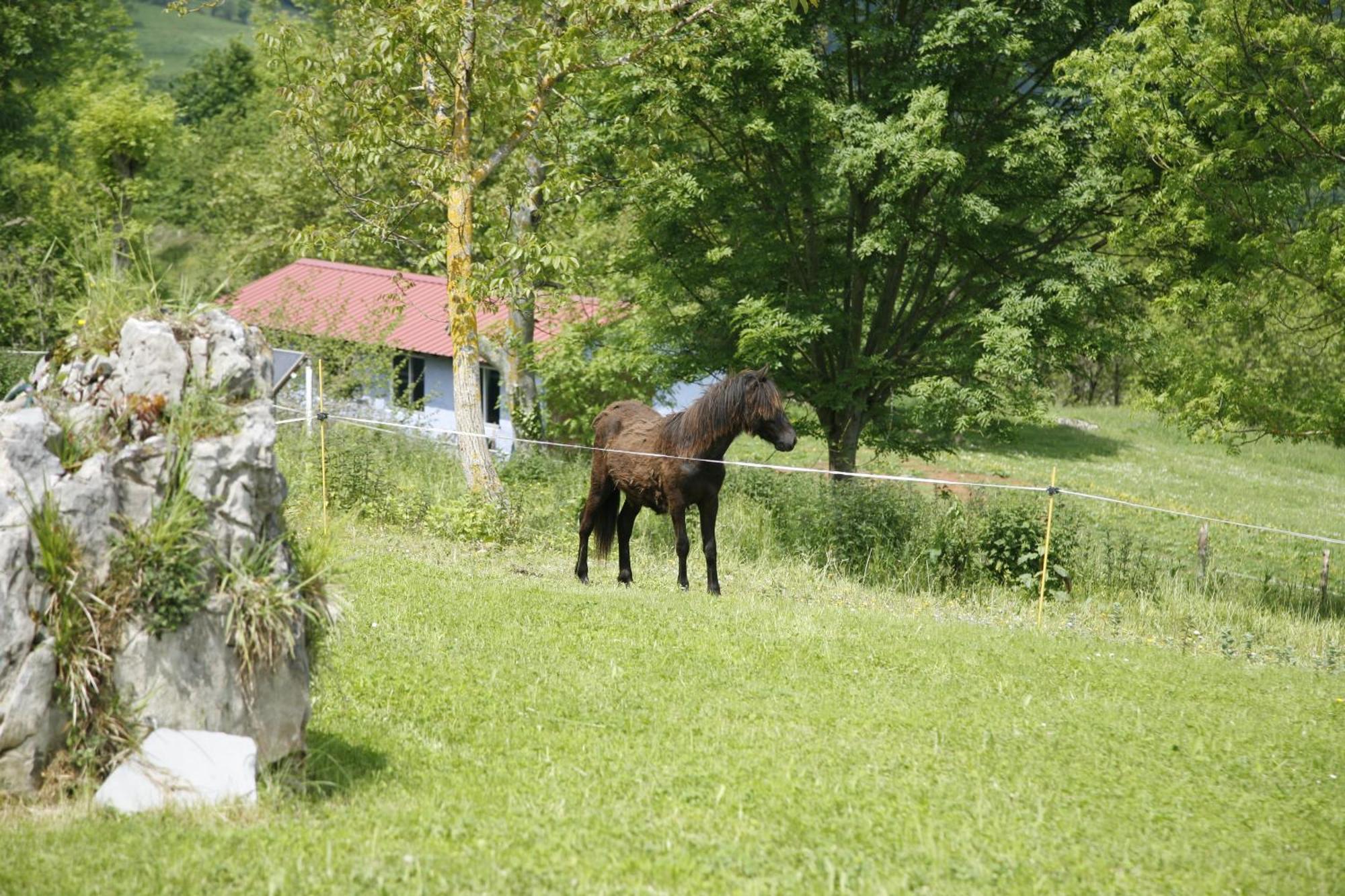 El Conventu Del Asturcon Vendégház Lago  Kültér fotó